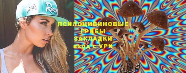 ГАЛЛЮЦИНОГЕННЫЕ ГРИБЫ Нязепетровск