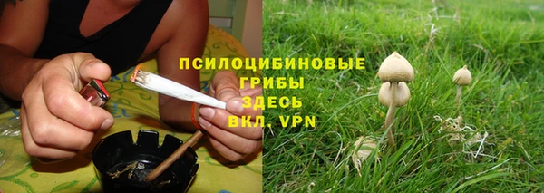 mdma Няндома