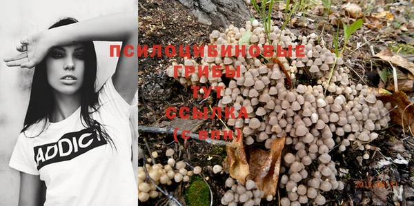 амф Нягань